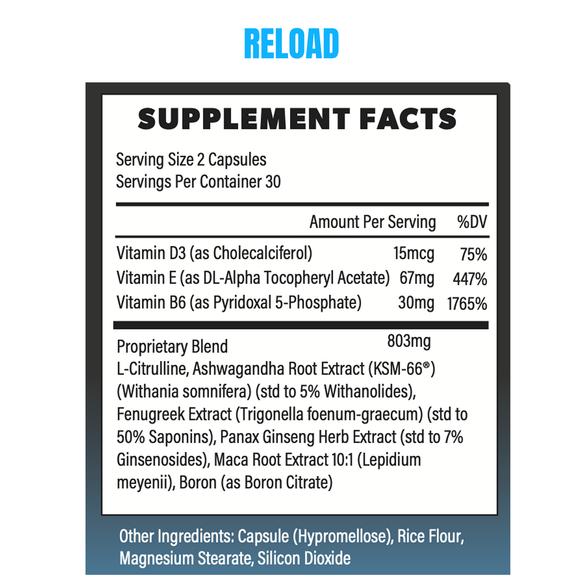 Reload Performance Bundle