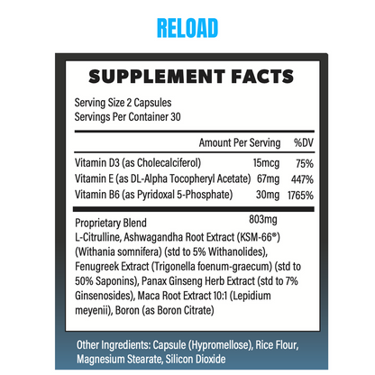 Reload Performance Bundle