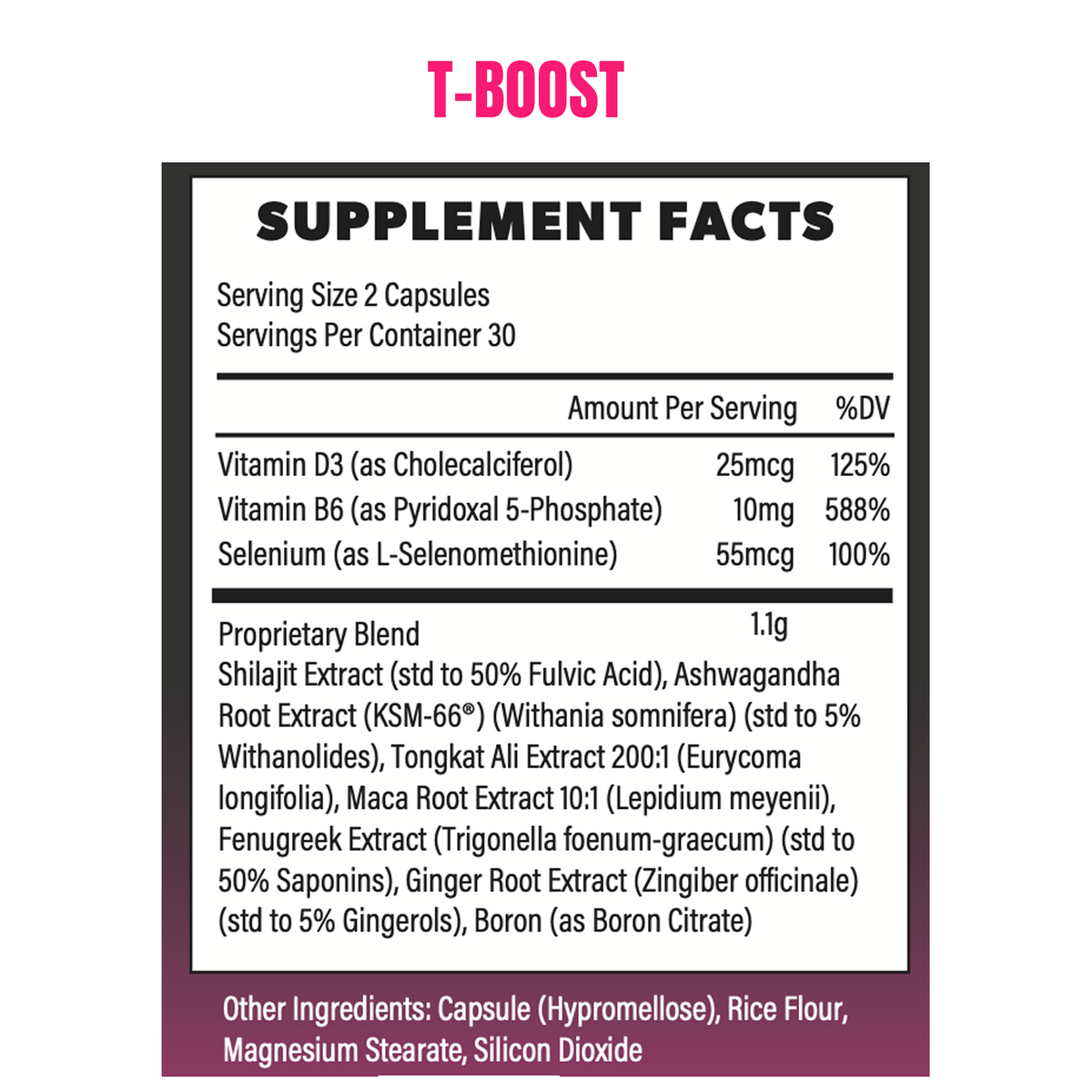 T-Boost Performance Bundle