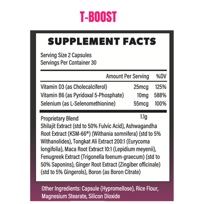 T-Boost Performance Bundle